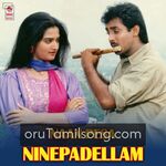 Naan Pesa Ninaipathellam movie poster