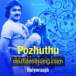 Pozhuthu Vidinchachu movie poster