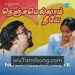 Nenjamellam Neeye movie poster